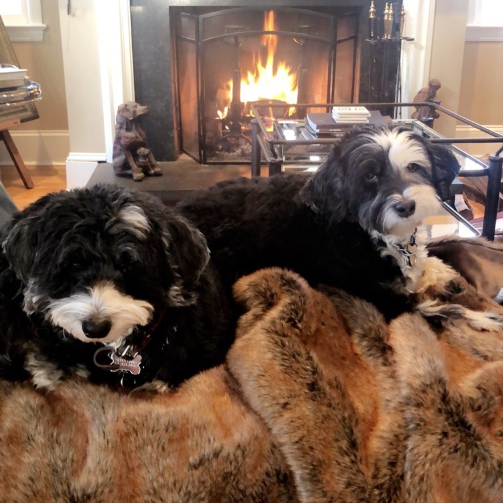 Meet your Posher, Sandra